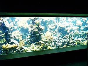 Kölner Zoo 13