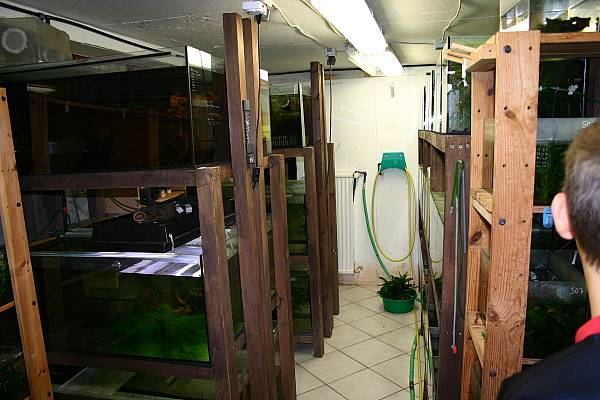 Anlage von Kurt