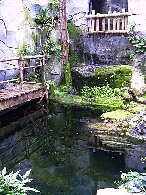 Kölner Zoo 22
