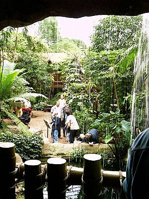 Kölner Zoo 23