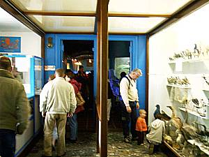 L´AQuarium  du Laboratoire Arago  Eingangsbereich