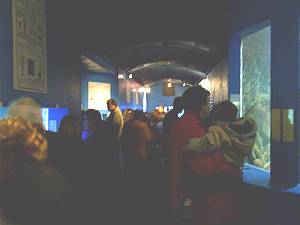 L´AQuarium  du Laboratoire Arago  Eingangsbereich