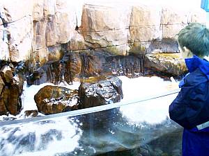 Sea Life Speyer Becken Eingangsbereich