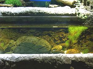 Sea Life Speyer
