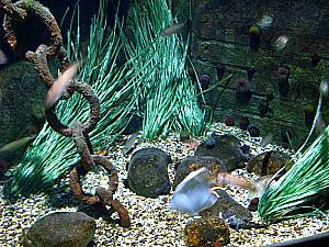 Sea Life Speyer
