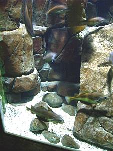 Sea Life Speyer