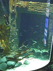 Sea Life Speyer