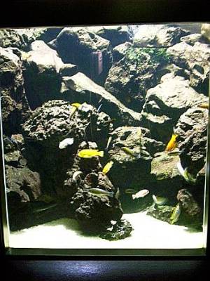 Aquazoo Düsseldorf