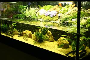 Molch? Palaudarium