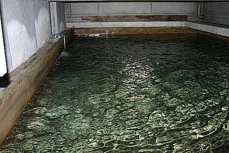Becken für Wasserwechsel Seewasser