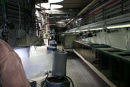 Hinter der Anlage