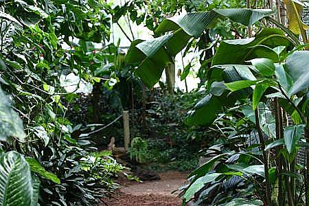 Im Amazonashaus