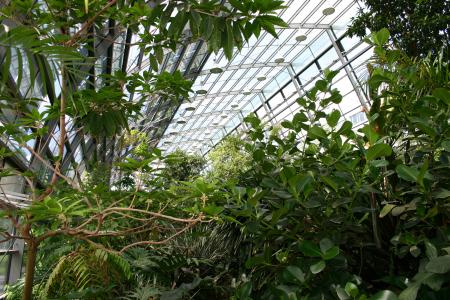 Blick nach oben im Amazonashaus