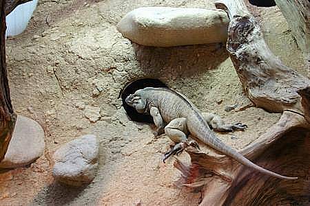 Aquariumhaus