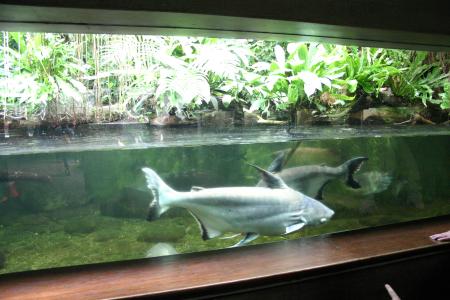 Aquariumhaus