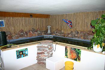 koi-diskus-center-illingen Koibecken