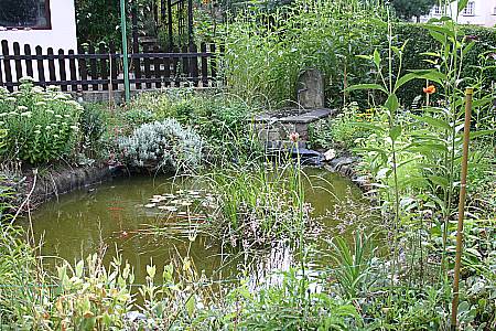 Gartenteich von Roman