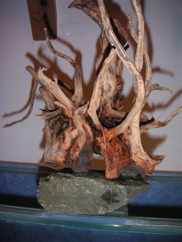 Wurzel 1