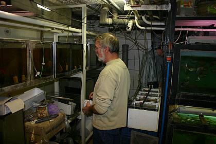 Karl Heinz Hollinger