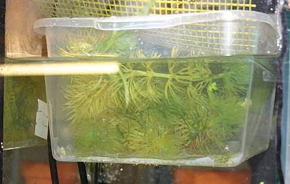 Wanne im Einsatz Wanne im Einsatz