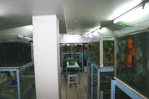 Diskusanlage2
