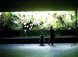 Kölner Zoo 3