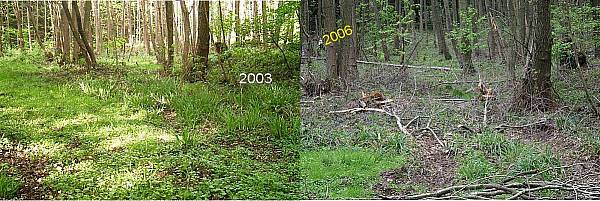 Gegenüberstellung2003u2006