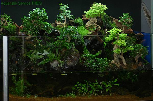 Aquaristik Service THEIS